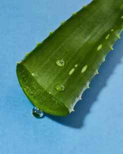 NIVEA MEN Protect & Care Reinigingsgel - Face Wash - 100 Ml -Nivea Winkel 960x1200 115